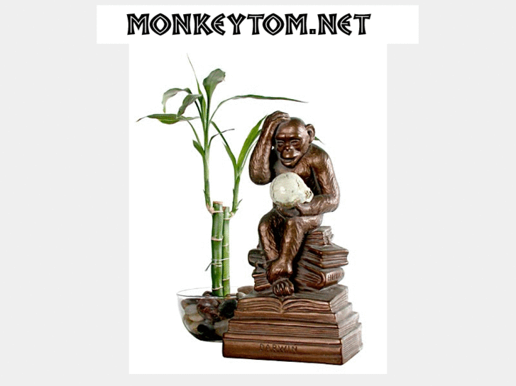 www.monkeytom.net