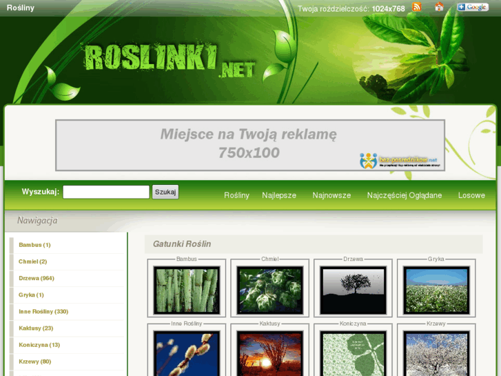 www.roslinki.net