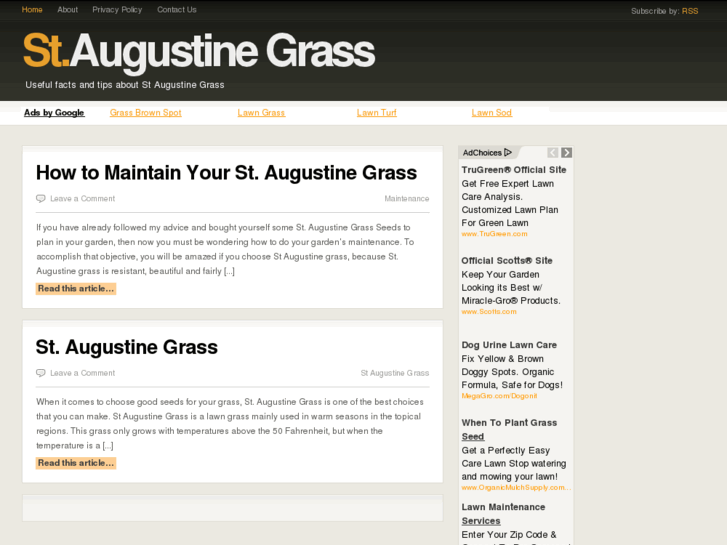 www.staugustinegrass.org