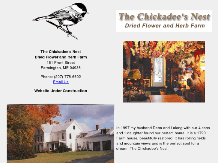 www.thechickadeesnest.com