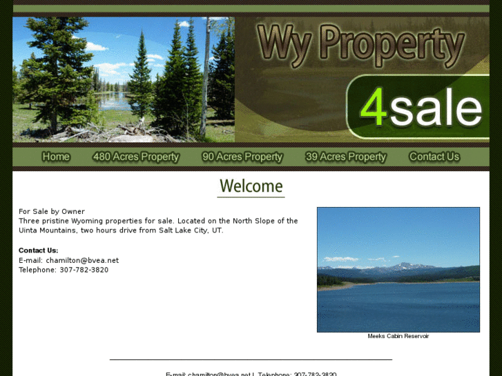 www.wyproperty4sale.com