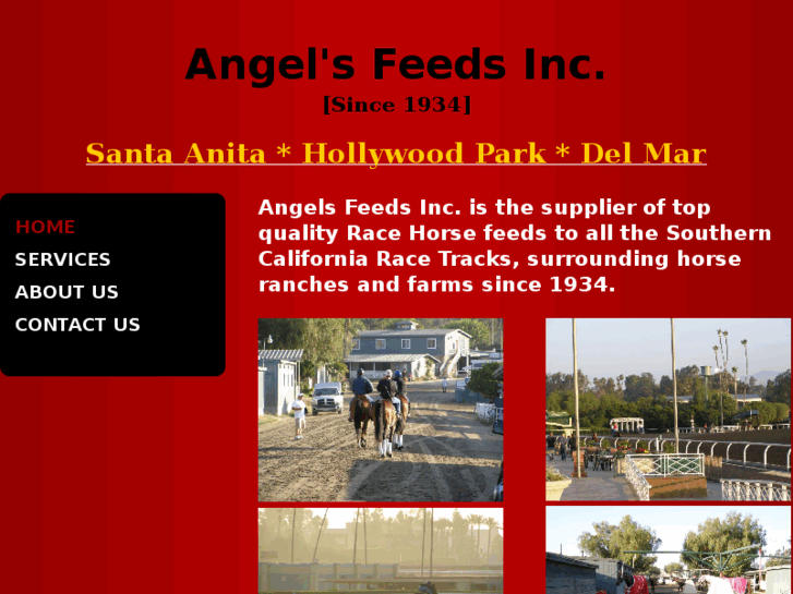 www.angelsfeeds.com