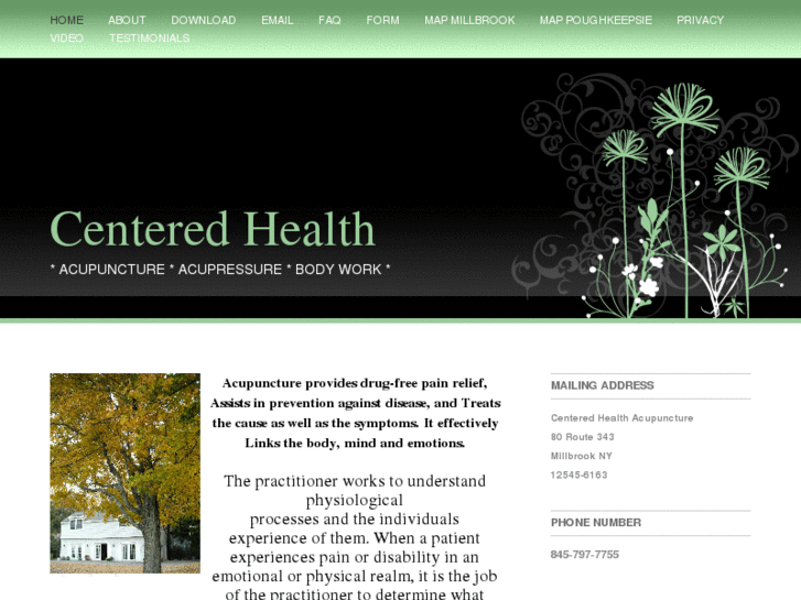 www.centeredhealthacupuncture.net