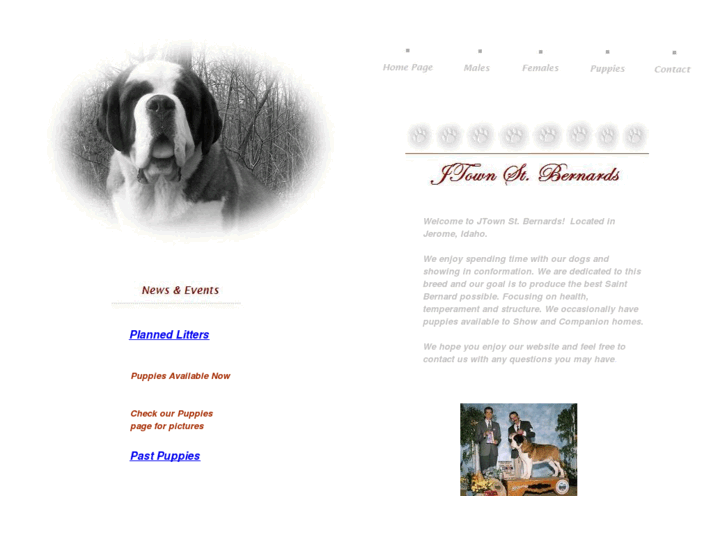 www.jtownstbernards.com