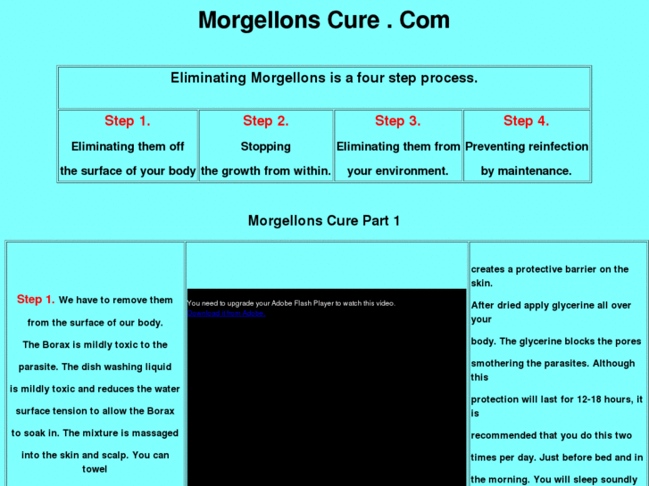 www.morgellonscure.com