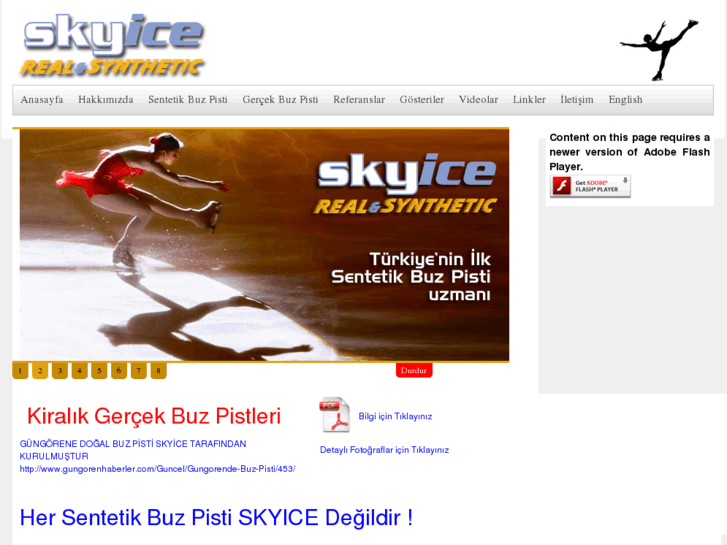 www.skyice.org