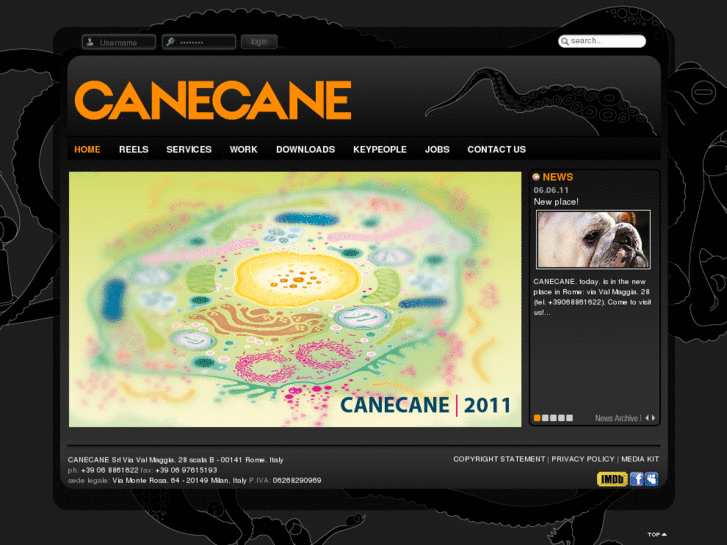 www.canecane.com