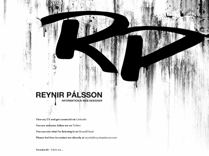 www.reynirpalsson.com