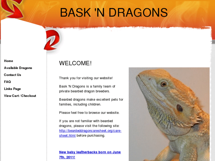 www.baskndragons.com