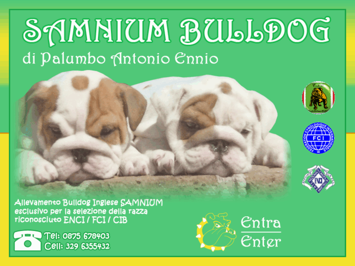 www.bulldogsamnium.com