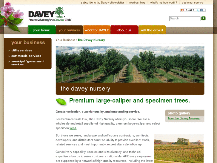 www.daveynursery.com