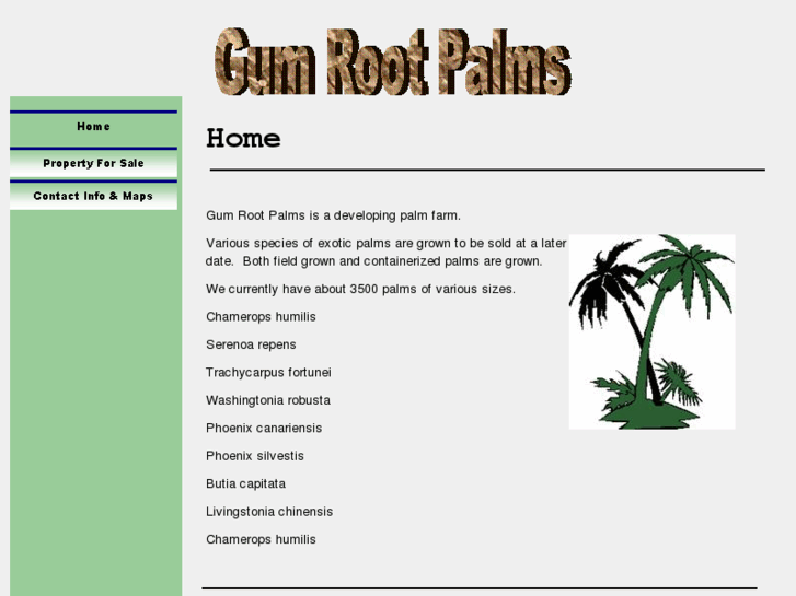 www.gumrootpalms.com