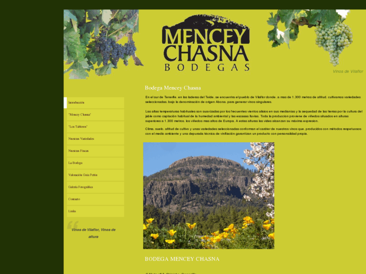 www.menceychasna.es