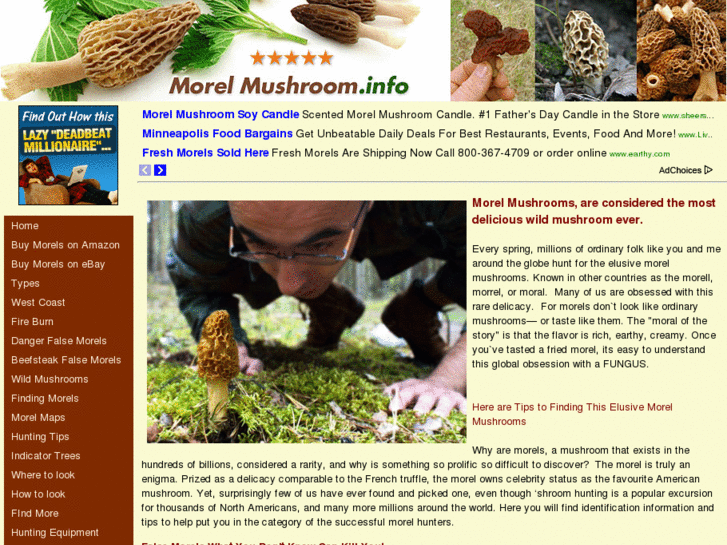 www.morelmushroom.info