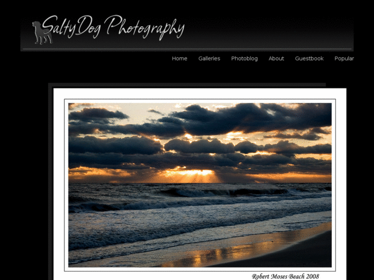 www.saltydogphotography.com