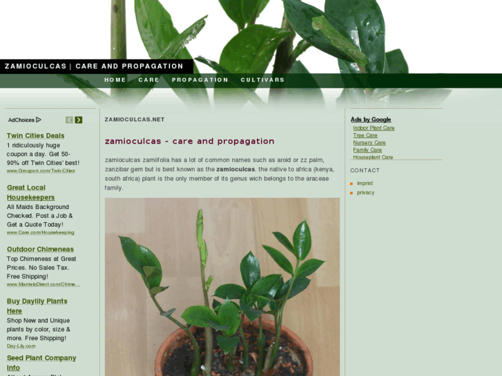 www.zamioculcas.net