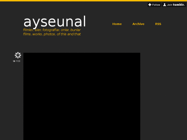 www.ayseunal.com