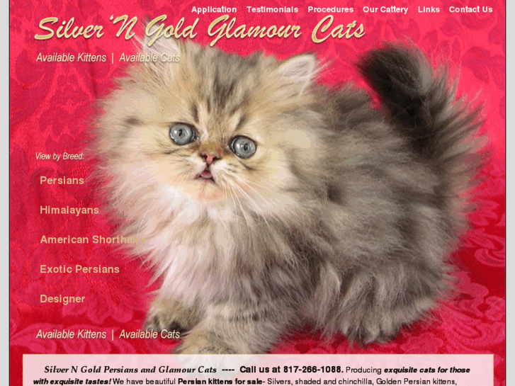 www.glamcats.com