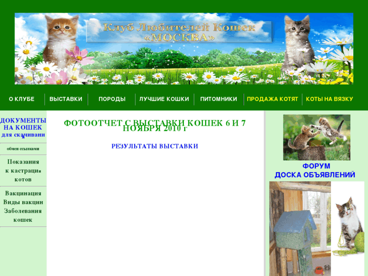 www.mos-cats.ru