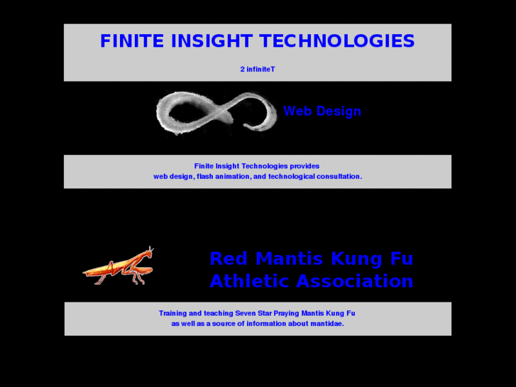 www.finiteinsight.com