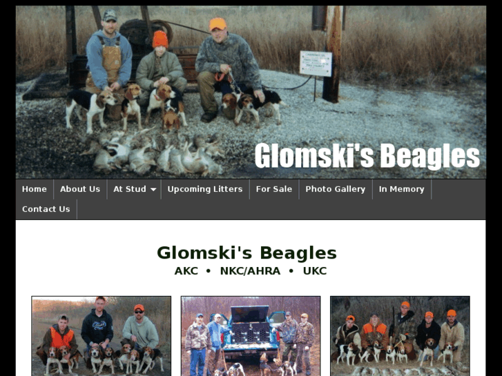 www.glomskisbeagles.net