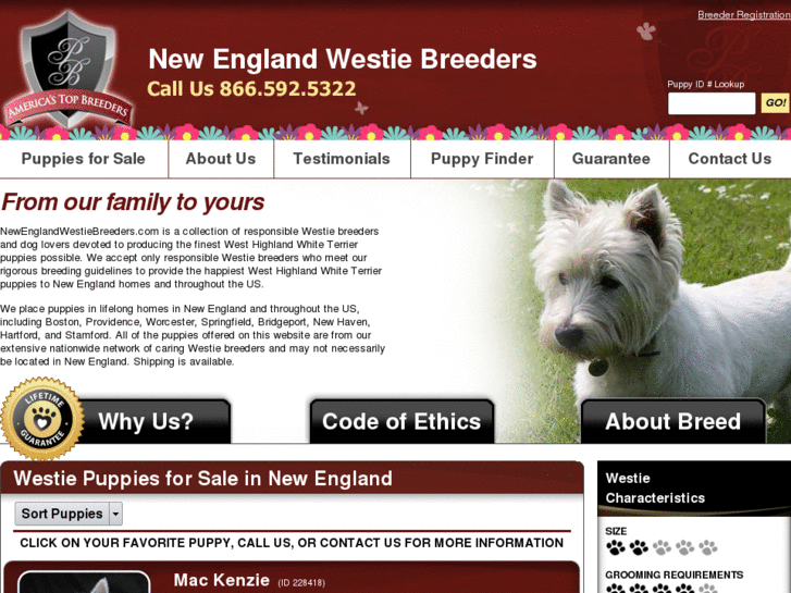 www.newenglandwestiebreeders.com