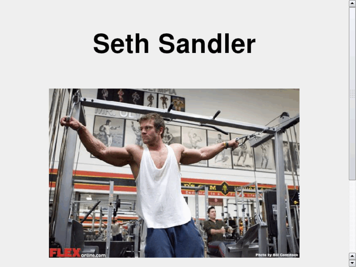 www.sethsandler.net