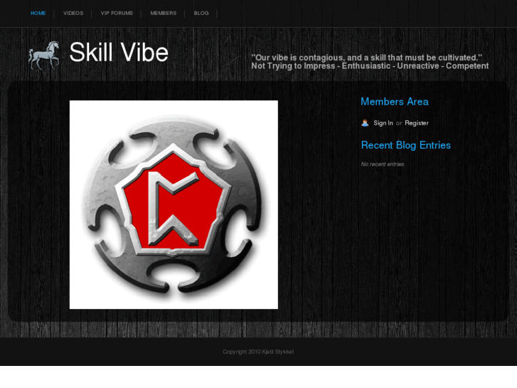 www.skillvibe.com