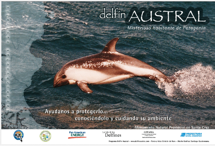 www.delfinaustral.com