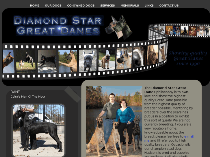 www.diamondstargreatdanes.com