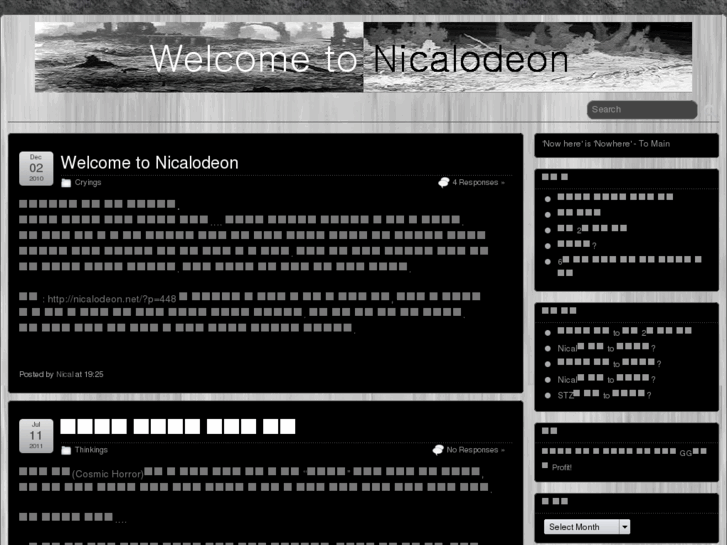 www.nicalodeon.net