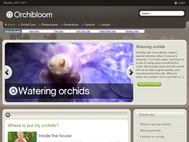 www.orchibloom.com