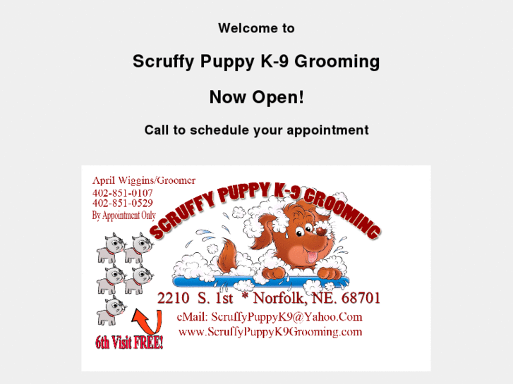 www.scruffypuppyk9grooming.com