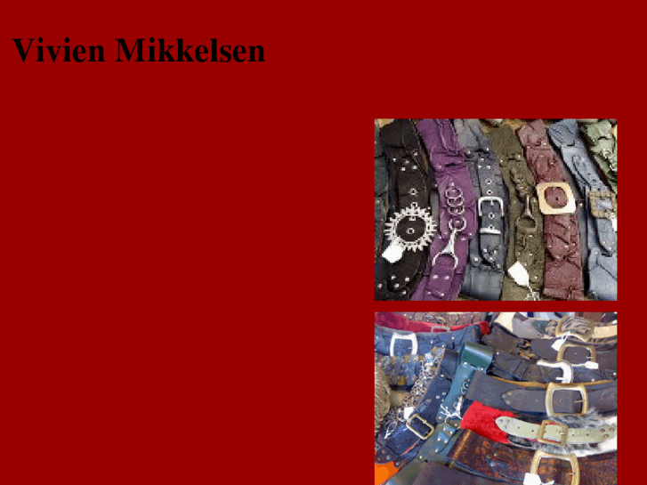 www.vivienmikkelsen.com