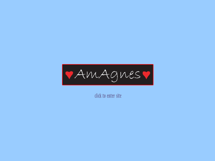 www.amagnes.com