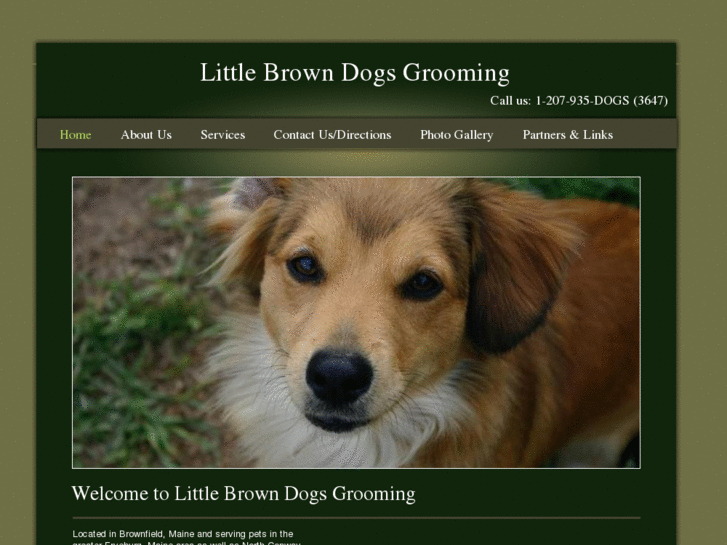 www.littlebrowndogsgrooming.com