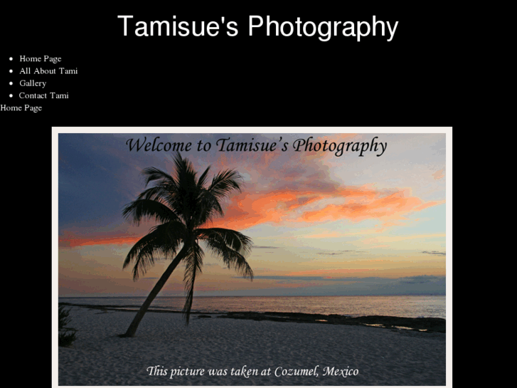 www.tamisuephotography.com