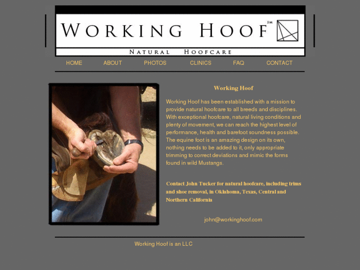 www.workinghoof.com