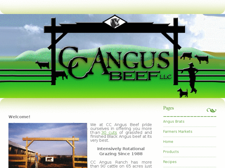 www.ccangus.com