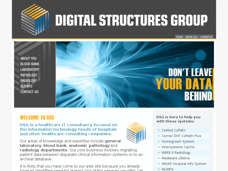 www.digitalstructuresgroup.com