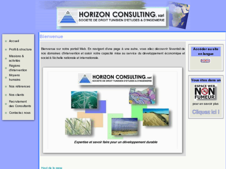 www.horizon-consulting.info