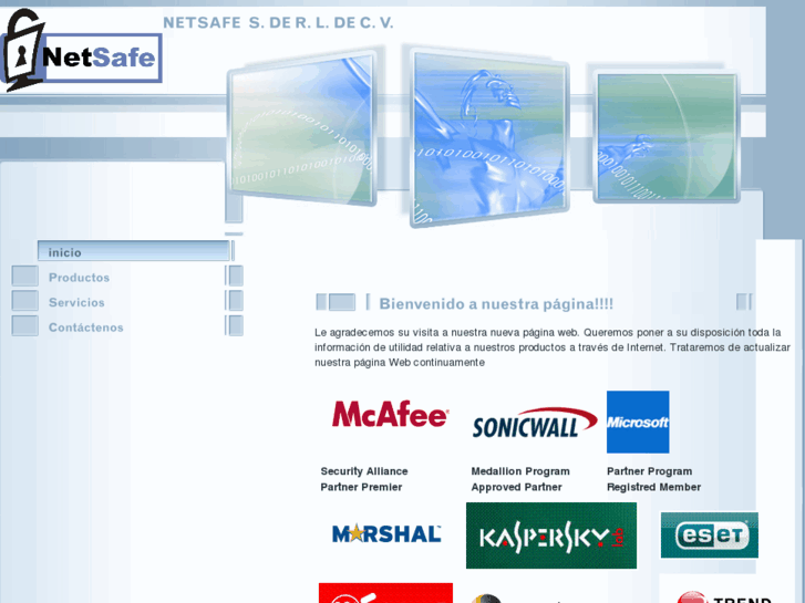 www.netsafe-gdl.com