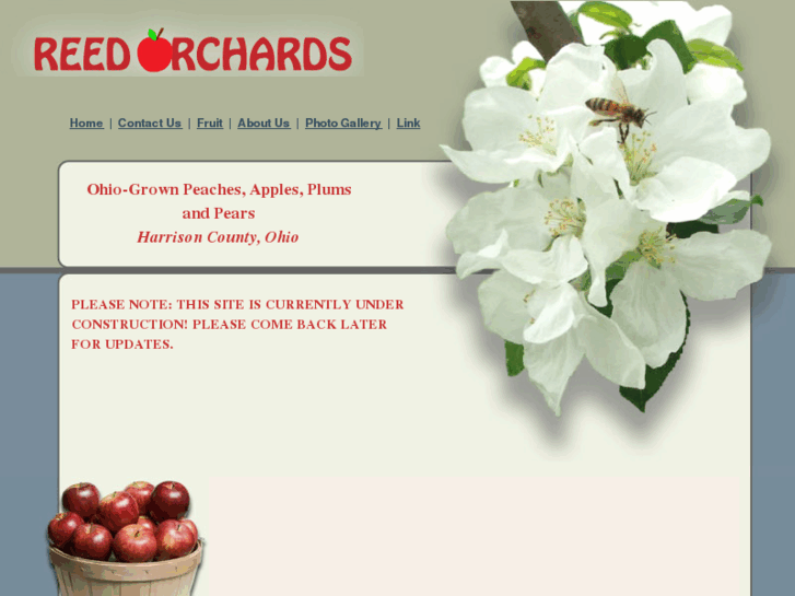 www.reedorchards.com