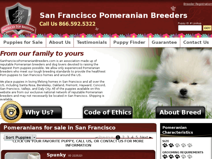 www.sanfranciscopomeranianbreeders.com