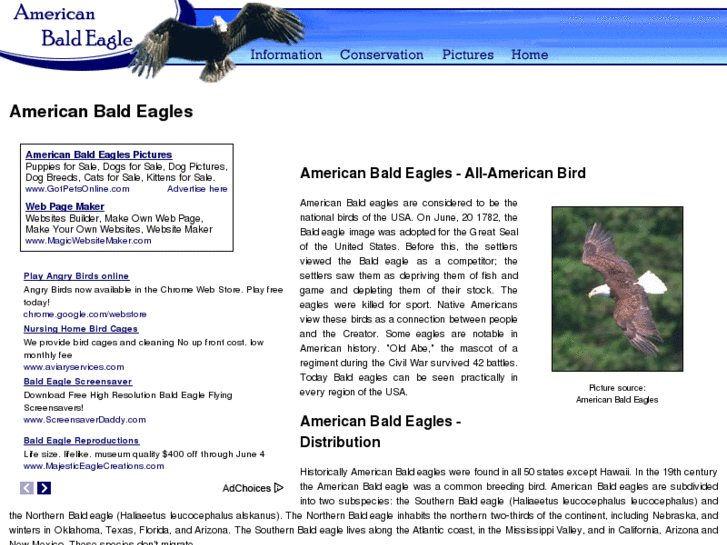 www.american-bald-eagles.com