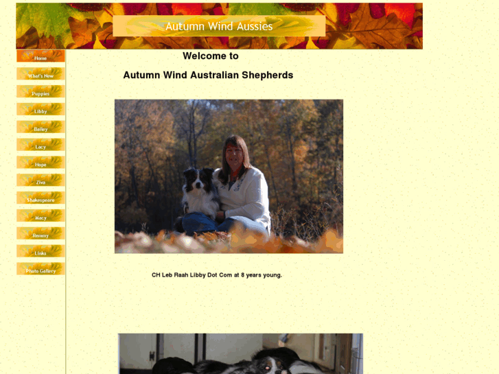 www.autumnwindaussies.com