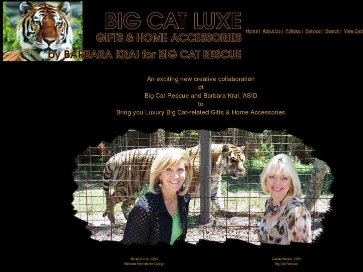www.bigcatluxe.com