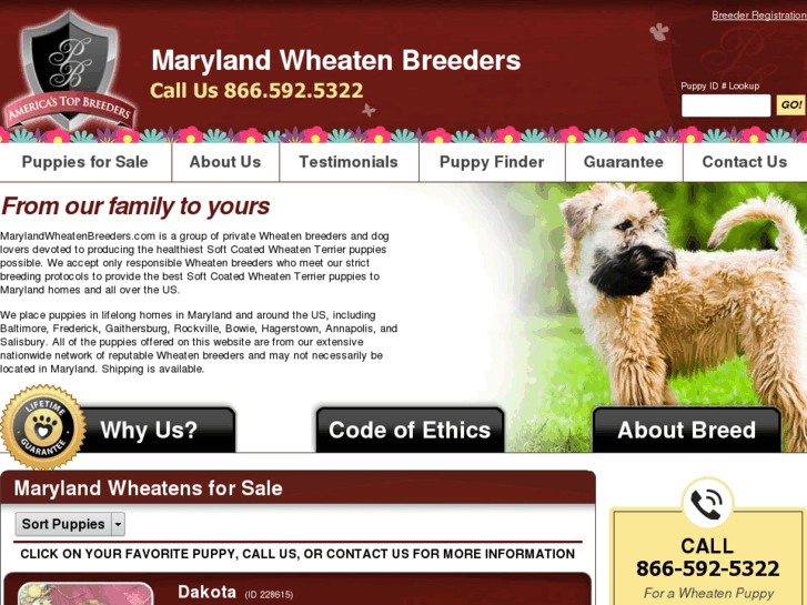 www.marylandwheatenbreeders.com