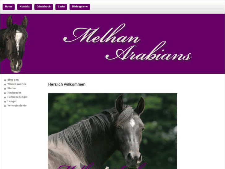 www.melhan-arabians.com