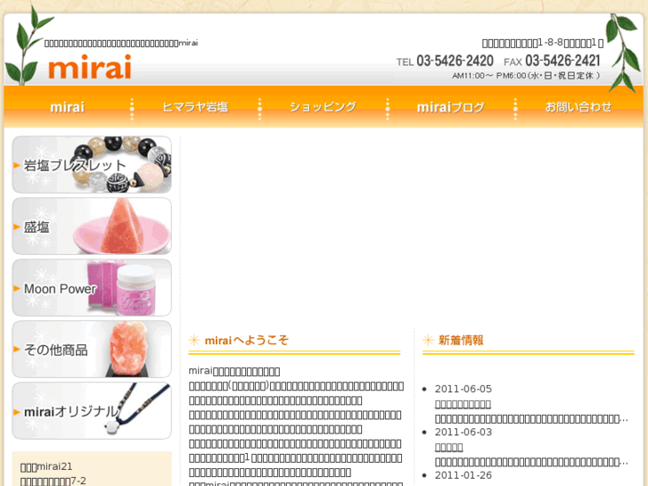 www.mirai-brace.com